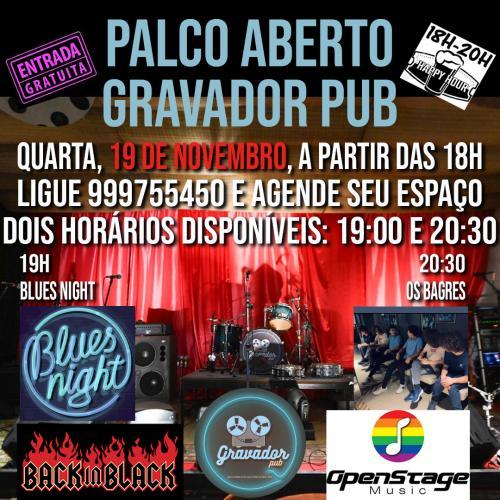 Ensaio Aberto Solidário Gravador Pub - Blues Night e Os Bagres